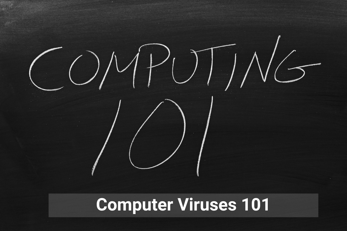 types-of-computer-viruses-youtube